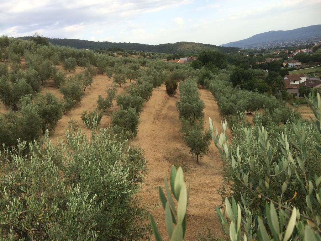 Agriturismo Terrarossa Пистойя Экстерьер фото
